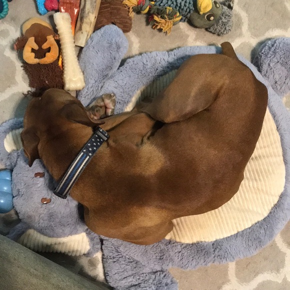 Meet your Posher, Sara - Picture 1 of 1